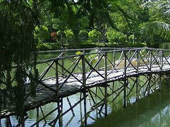 Resort Ibiza The Fern & Spa, Kolkata